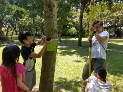 體驗關卡 親子協力合作，幫忙樹木做健康檢查